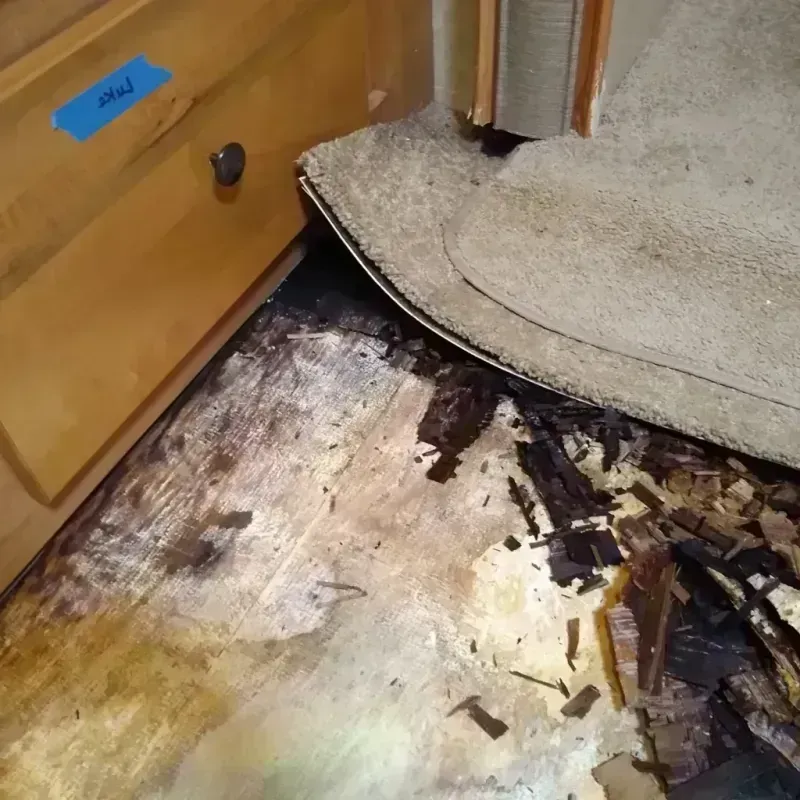 Wood Floor Water Damage in Gardnerville, NV